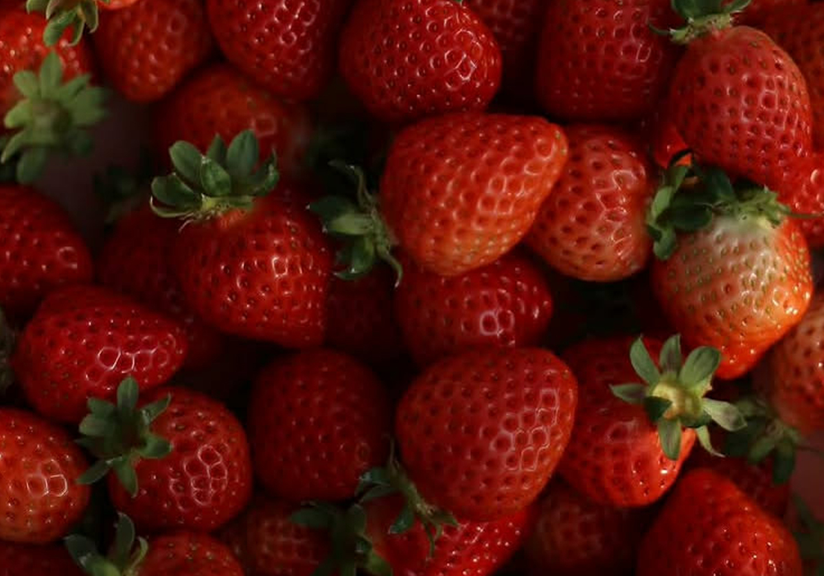 13 / Strawberry Farm Miyazaki at ANY